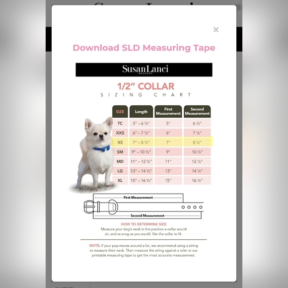 Susan Lanci Harness + Collar + Leash (XS) - Picture 6 of 9